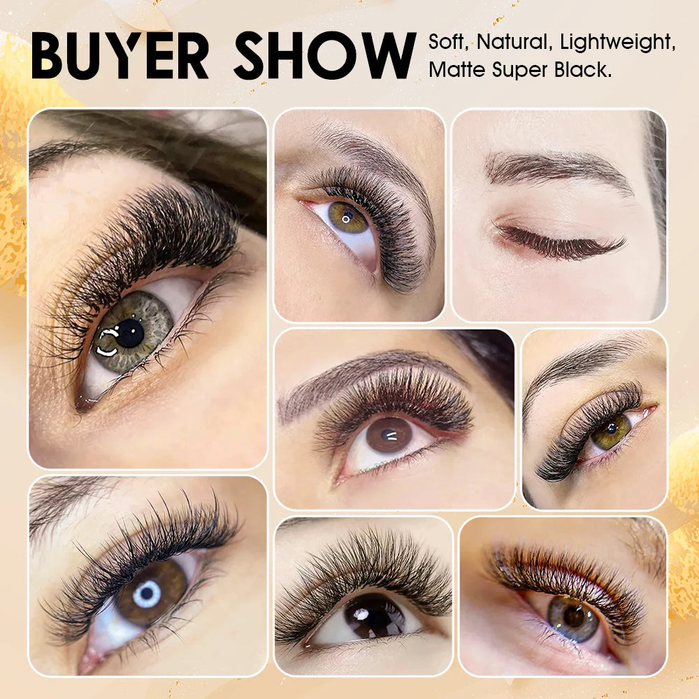 5case/lot High Quality Masscaku 4D/5D/6D W Shape Eyelash Extensions 8-15mm All Size W Type Individual Eyelashes Tray in Stock
