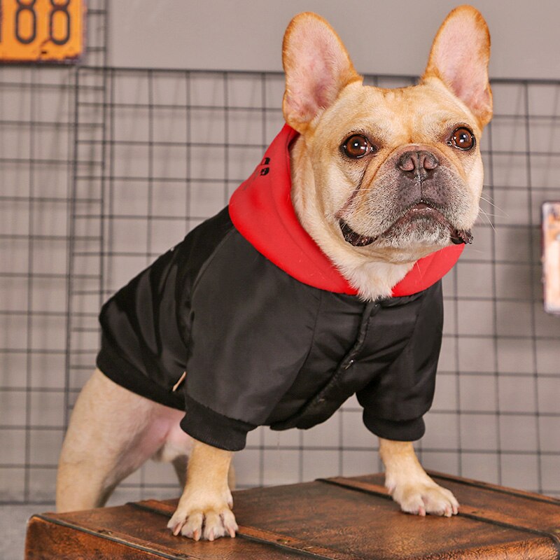 HOOPET Pet Dog Clothing Winter Outdoor Coat For Small Medium Dogs Cats Printed Dog Jacket