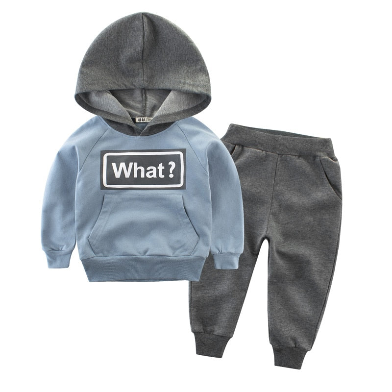 Clothing Sets Children Boys Girls Fashion Clothes Kids Toddler Tracksuit Autumn Baby Hoodies  And Pants  Suits Sport
